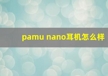 pamu nano耳机怎么样